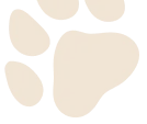 paw background